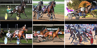 Dan Patch Pacers Unveiled