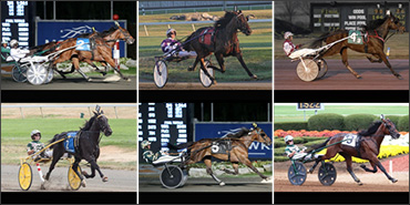 Dan Patch Trotters Unveiled