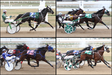 Alberta Nominees Announced