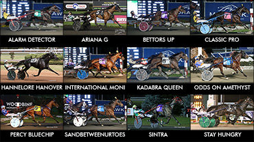 Who Will Have The Best 2018?