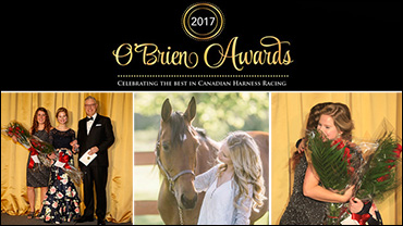 Outstanding Groom Loves The Work Outstanding Groom Loves The Work