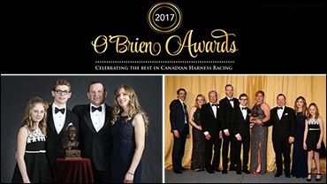 'Amethyst' Worth His Weight In Gold