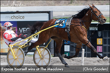 Expose Yourself Extends Streak