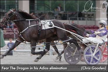 Trogdon On Adios, Fear The Dragon