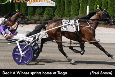 Upsets Abound In Tioga Stakes
