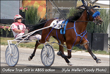 Tainsh Doubles Up In Alberta