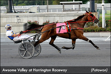Awsome Valley Draws Off At Harrington