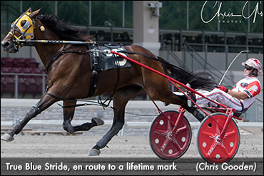 True Blue Stride Rebounds At Meadows