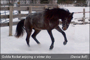 Golden Ties On KD's Memorial Night