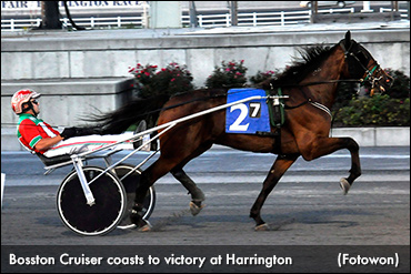 Young Trotters In Action At Harrington