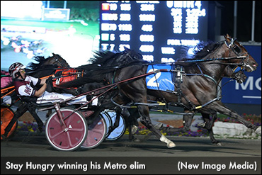 Stay Hungry Looks To Stay Perfect