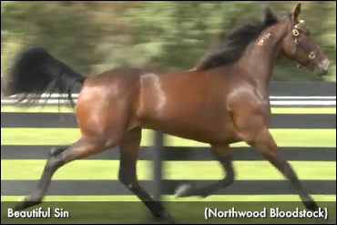 Beautiful Sin Tops Day 2 In Lexington