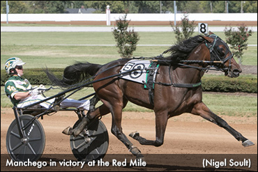 A 'Perfect 10' For Manchego