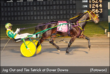 Jag Out Best In Dover Mares Open
