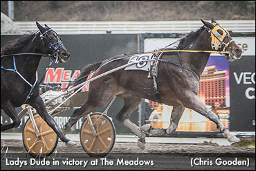 Ladys Dude Strikes Again At Meadows