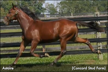 Will Astaire Reach Sport's Big Dances?