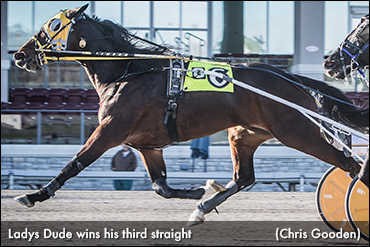 Three In A Row For Ladys Dude