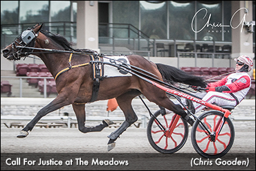 Call For Justice Asserts In Meadows Trot