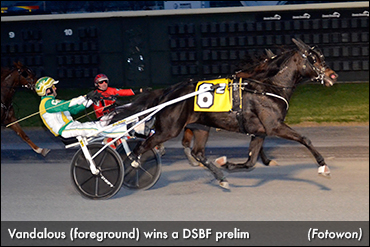 Juvenile Delaware Trotters In Spotlight
