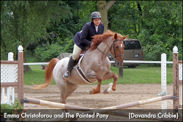 Standardbreds' Versatility Highlighted