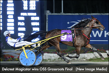 Grassroots Champ Beats Older Foes