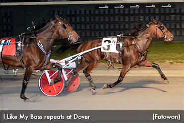 I Like My Boss Repeats At Dover