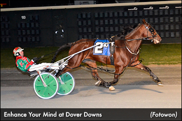 Enhance Your Mind Wins Dover Distaff