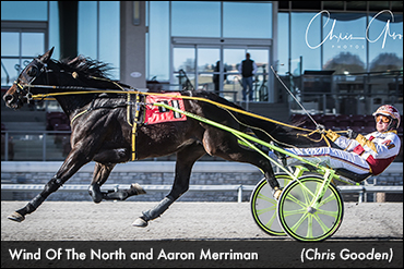 Wind Of The North Wires Meadows Foes