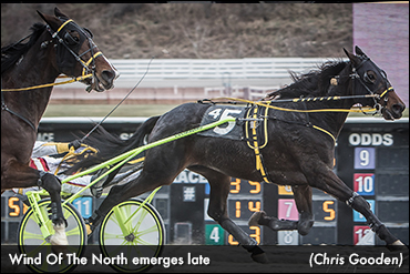 Wind Of The North Repeats