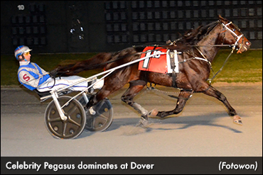 Celebrity Pegasus Soars At Dover