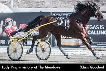 Meadows Hat Trick For Lady Ping