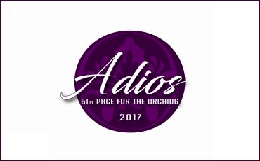 Adios Post Draw On Tuesday