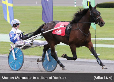 New Strategy For Marion Marauder