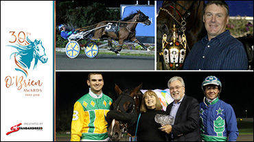 Caviart Ally To Pelling For 2019