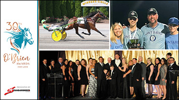 Gillis Takes Charge And Rebounds