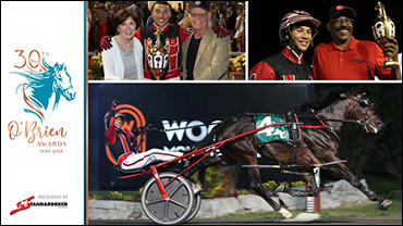 Lather Up To Race At Four