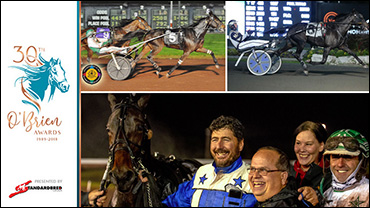 Is This Emoticon Hanover's Year?