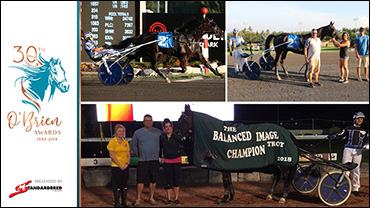 'Dream' Season Brings Owner Back