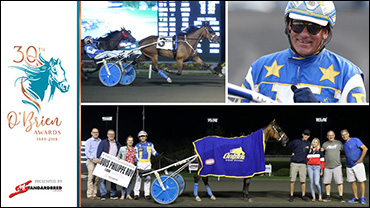 Gift Horse And A Lifetime Opportunity