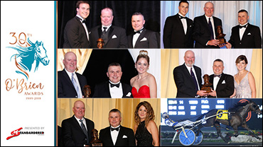 Moreau Chose Bridles Over Banks