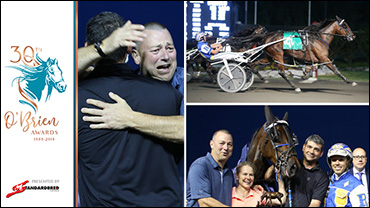 Dion On Shower Play, Aged Campaign