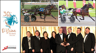 Quality Over Quantity For Warrawee