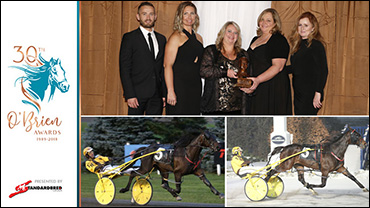 Sensational Season For Seelster