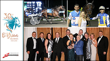 Shower Play Managed Masterfully