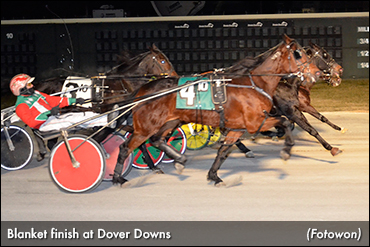 Splashed, Great Kate In Dover Dead Heat