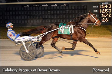 Celebrity Pegasus Dominates At Dover