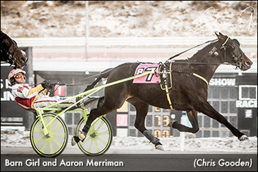 Barn Girl Wins Again At Meadows