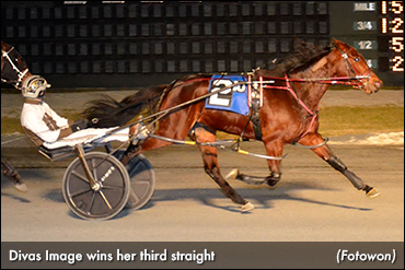 Dover Hat Trick For Divas Image