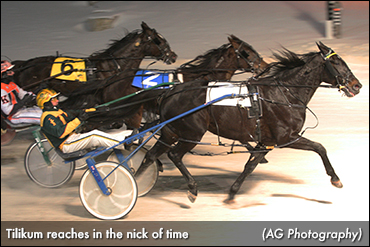 Tilikum Upsets In London Distaff