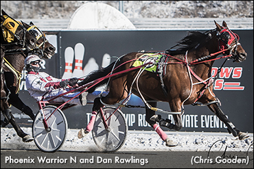 Phoenix Warrior N Rises At Meadows
